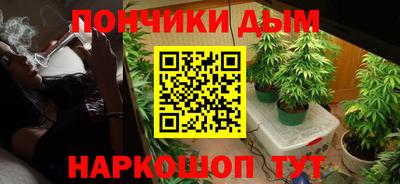 гашик Кулебаки