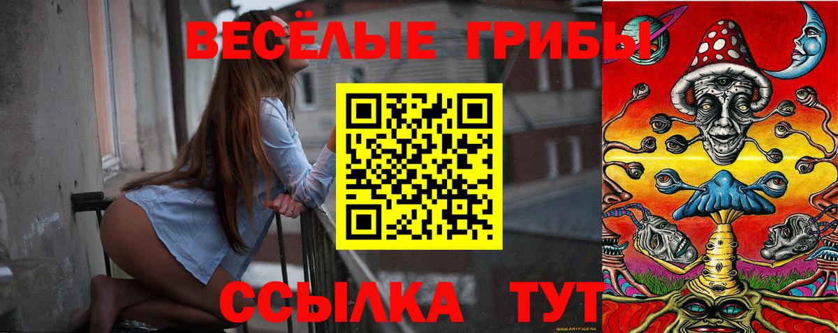 Галлюциногенные грибы Psilocybine cubensis  Вход с VPN  как найти закладки  Гагарин 